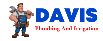 Trusted plumber in ULMAN